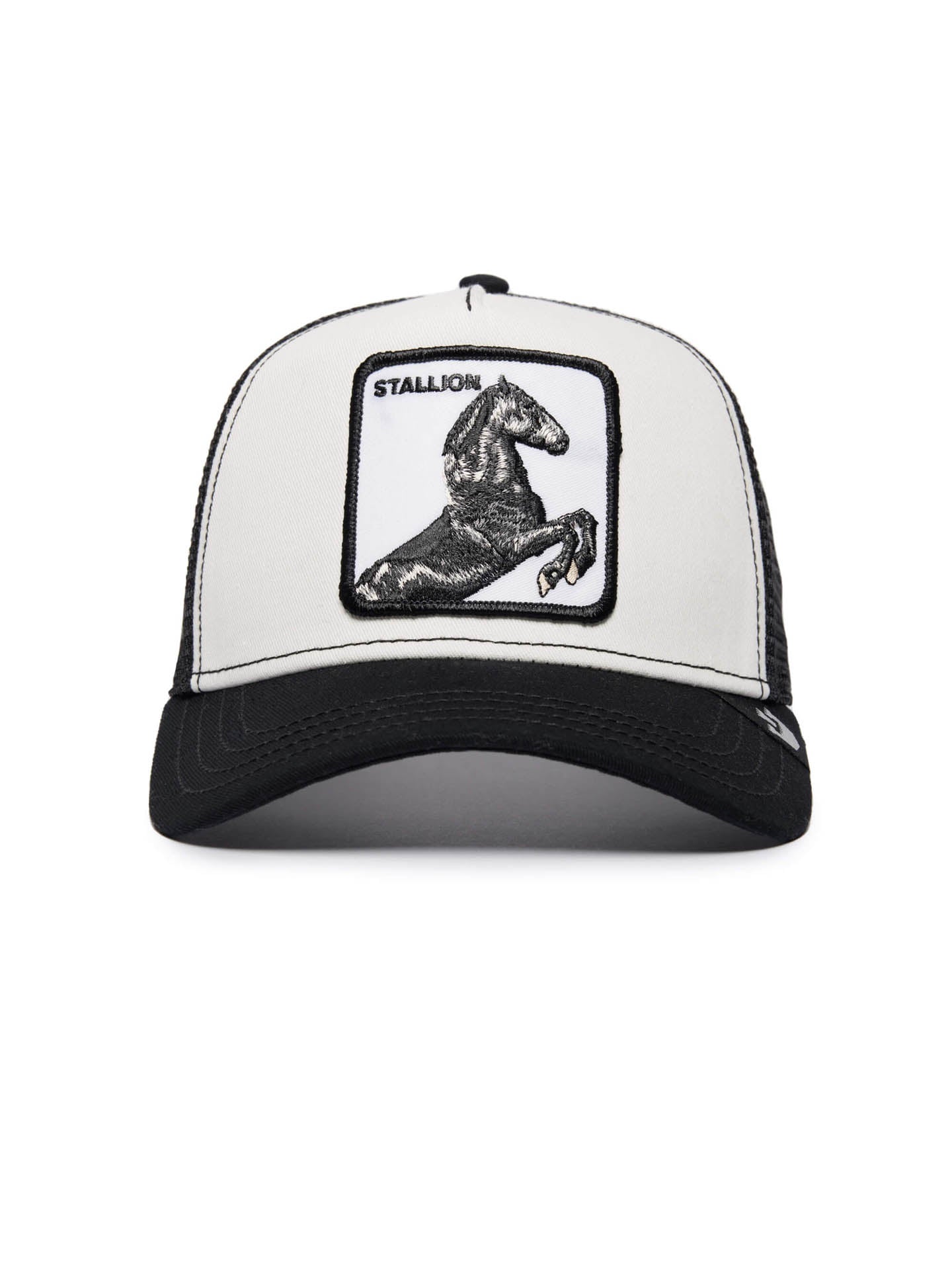CAPPELLO THE STALLON