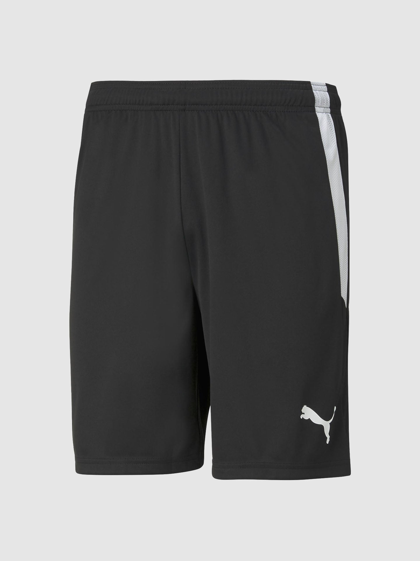 TEAMLIGA SHORTS