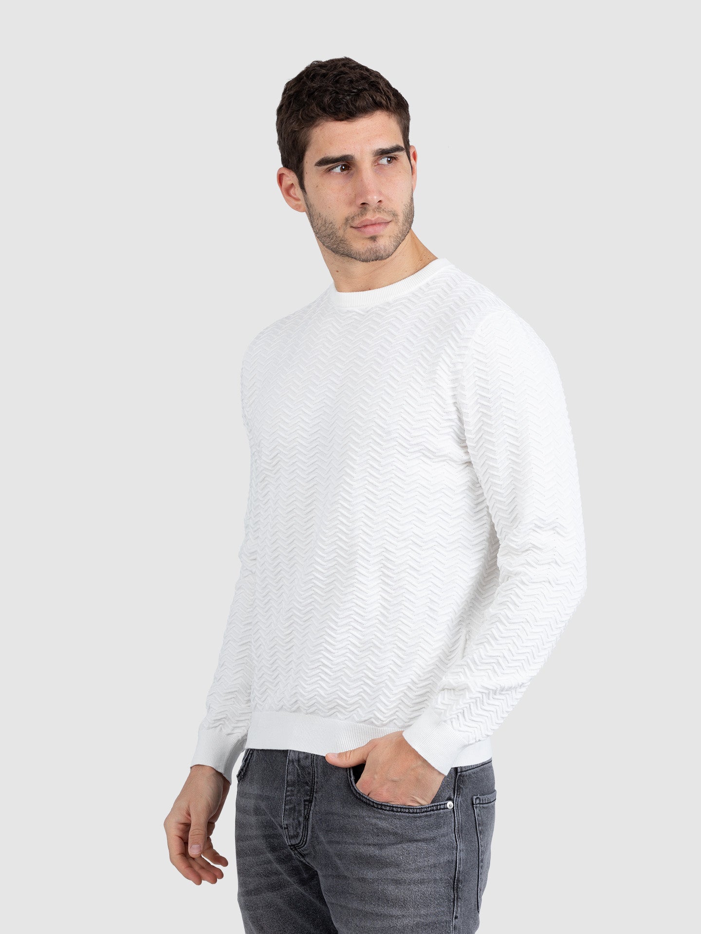 MAGLIA IN COTONE MICROARMATURA JACQUARD