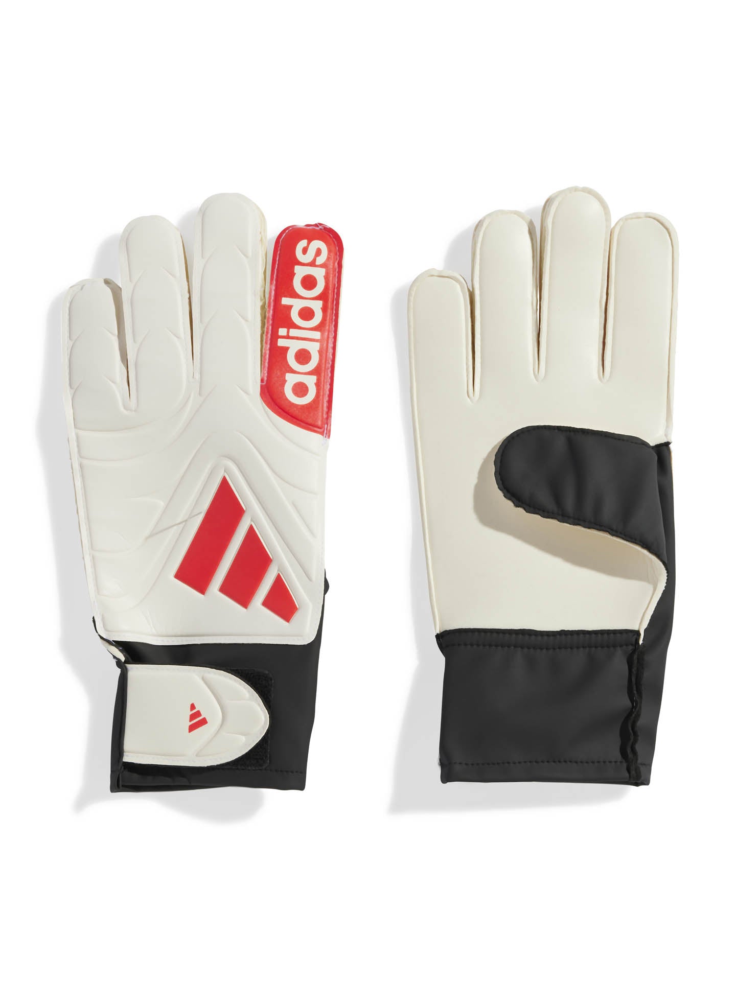 COPA GL CLB