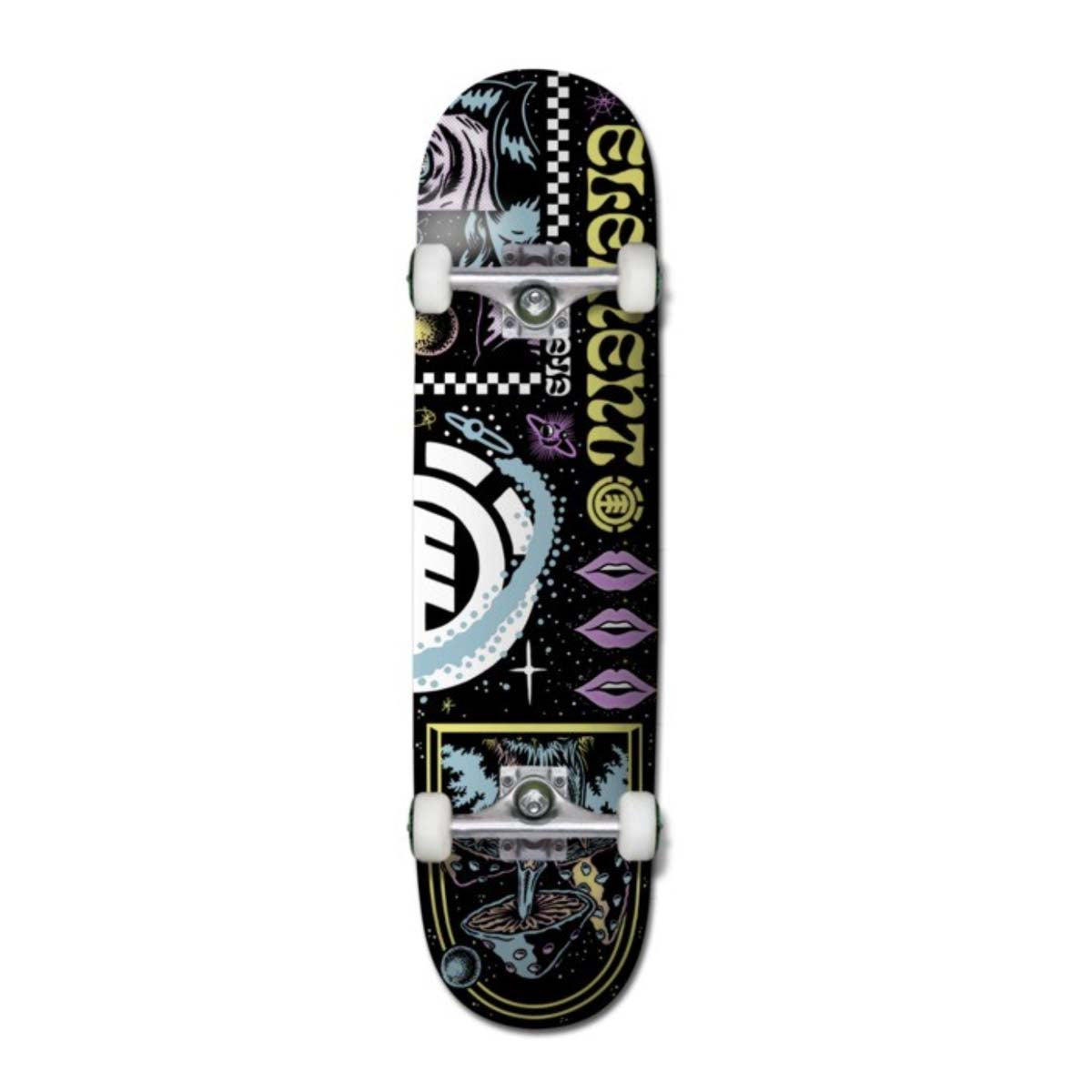 SKATEBOARD SPACE CASE 8