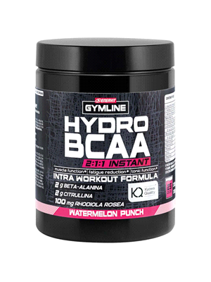 HYDRO BCAA 2:1:1 INSTANT WATERMELON PUNCH 