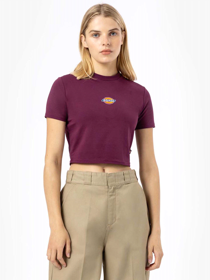 DICKIES T-SHIRT MAPLE VALLEY